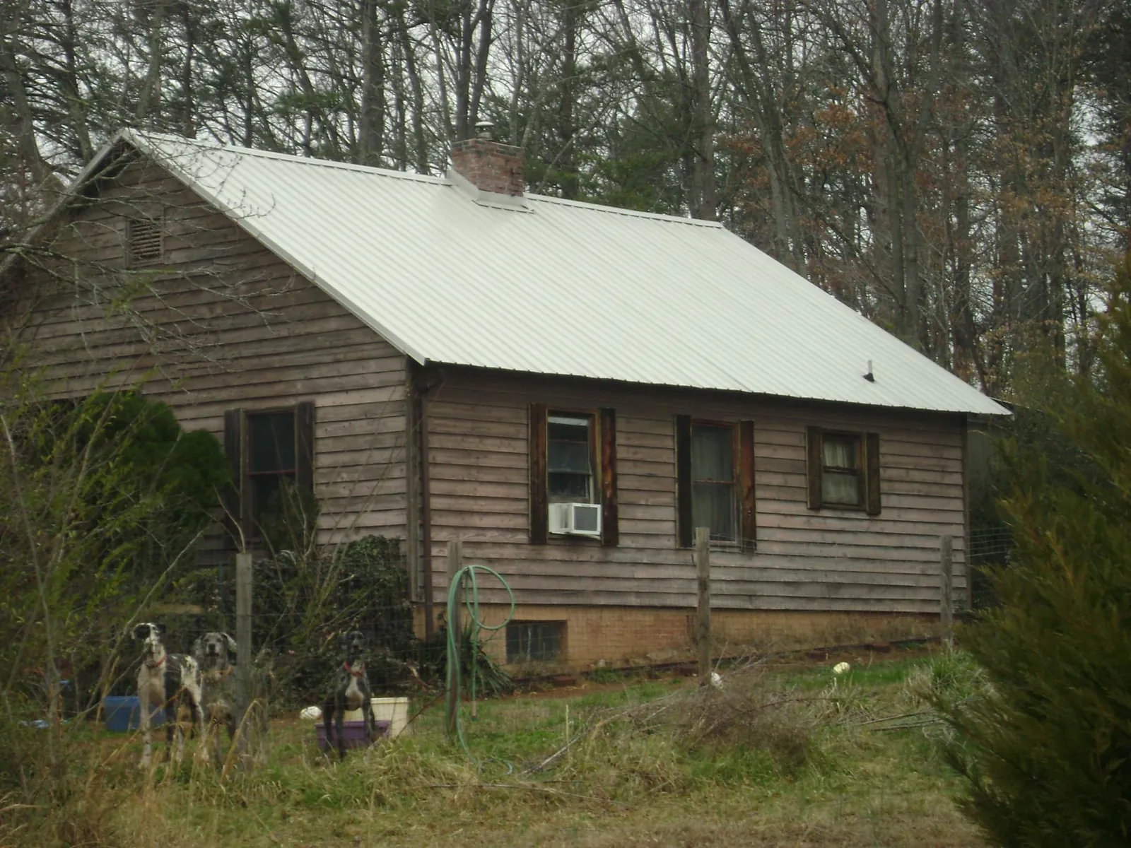 White metal roof on an old wood sided farmhouse, from a Asphalt Shingle Roof Repair job in Notre Dame